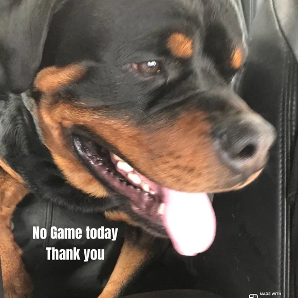 #4 LIKE LISTING #5 Comments Full - Picture 14 of 16